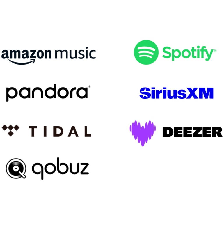 Music streaming services logo