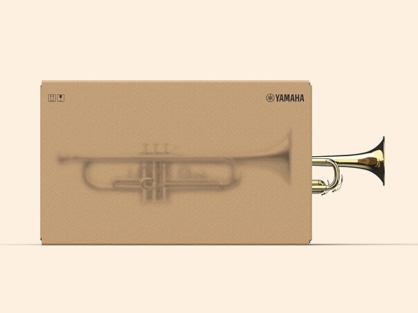 Packaging boxes for entry-level wind instrument models earned the Gold Award at Pentawards 2025 (Illustrative)