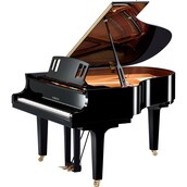 Product image of C2X espressivo
