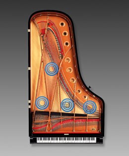 N1 - Overview - AvantGrand - Products - Pianos - Musical