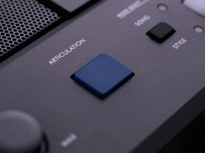 PSR-E583 Feature image of ARTICULATION Button