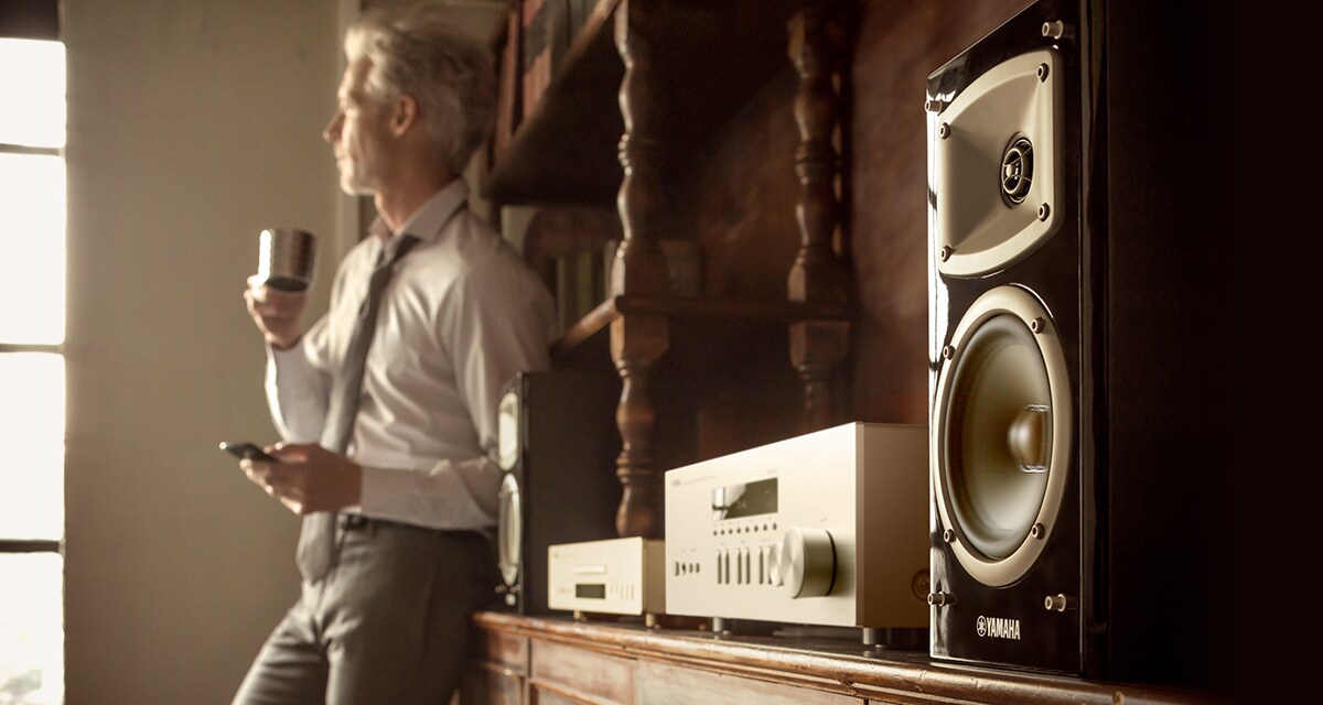 R-N303D - Overview - HiFi Components - Products - Home Audio