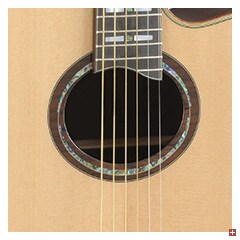 APX Soundhole : Oval